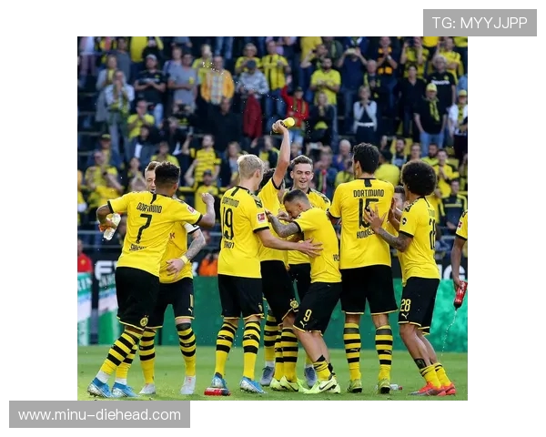 德甲联赛中名称含“堡”的球队介绍